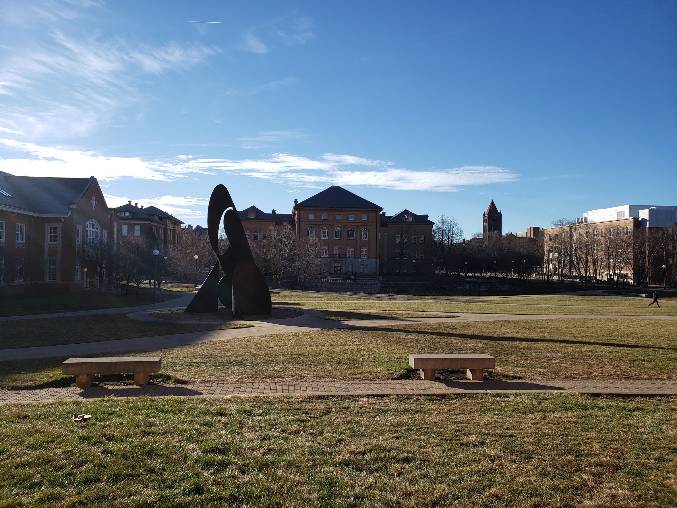 Bardeen quad, the lawn and buildings illuminated by the 9 AM December sun